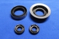 Preview: Gasket Set 4-Gear Box + Oil Seals, CIH-4