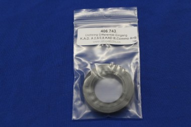 Oil Seal Drive Pinion