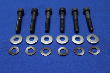 Screw Set for Drive shaft