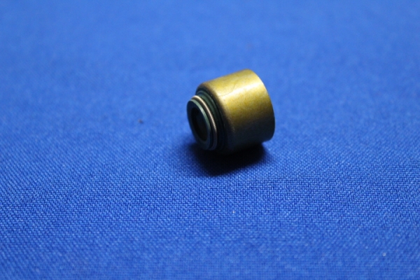 Valve Shaft Cap CIH, late version